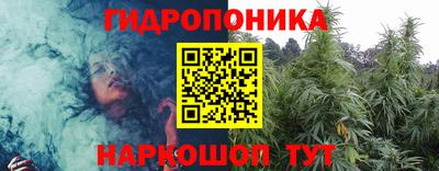 гидра Заводоуковск