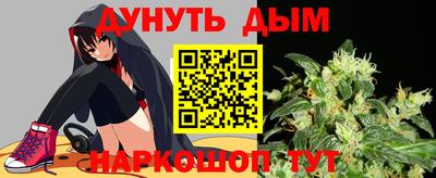 гидра Заводоуковск