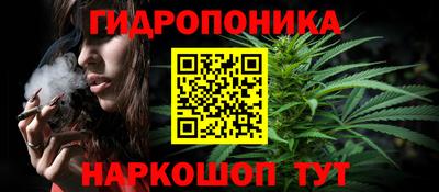 гидра Заводоуковск