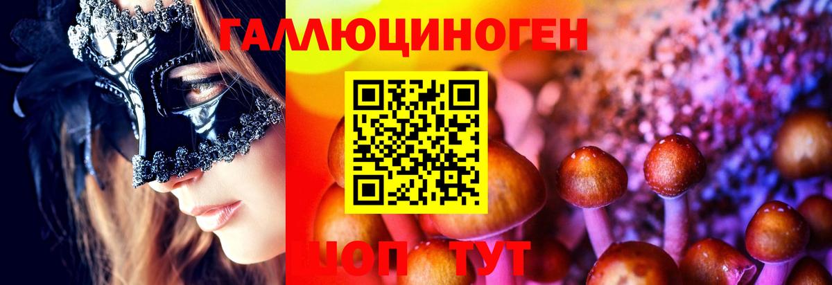 Галлюциногенные грибы мухоморы  Вход с VPN  Галлюциногенные грибы Psilocybine cubensis  Минеральные Воды 